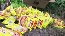 100 Maggi Noodles Cooking By Our Grandpa - Yummy Maggi Noodles Donating to Orphans