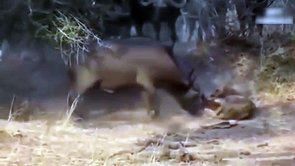 동해출장서비스 동해출장서비스O1OE2908E6803｛카톡ABC23｝ 동해출장마사지샵 동해출장안마on동해출장안마cos여3♪⇔∃마사지황형♥⊈≪