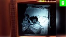 Top 10 Momentos Escalofriantes Captados En Monitores De Bebés