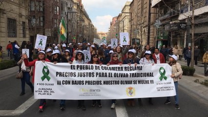 La 'tractorada' atraviesa el centro de Granada