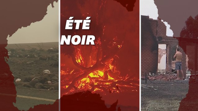 Après cinq mois d'incendies en Australie, le lourd bilan en cinq chiffres
