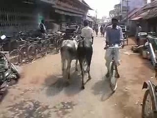 Vivre en Inde du sud 2