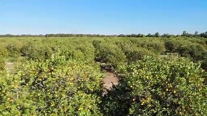 HUNTER'S MOON | Official HD Trailer (2020) | THOMAS JANE, JAY MOHR | Film Threat Trailers