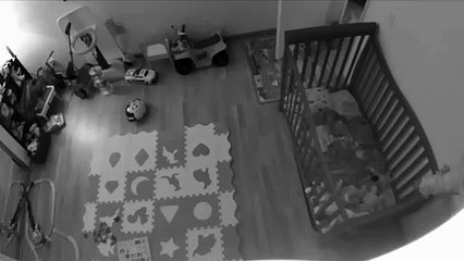 Pug Expending Energy in Empty Room