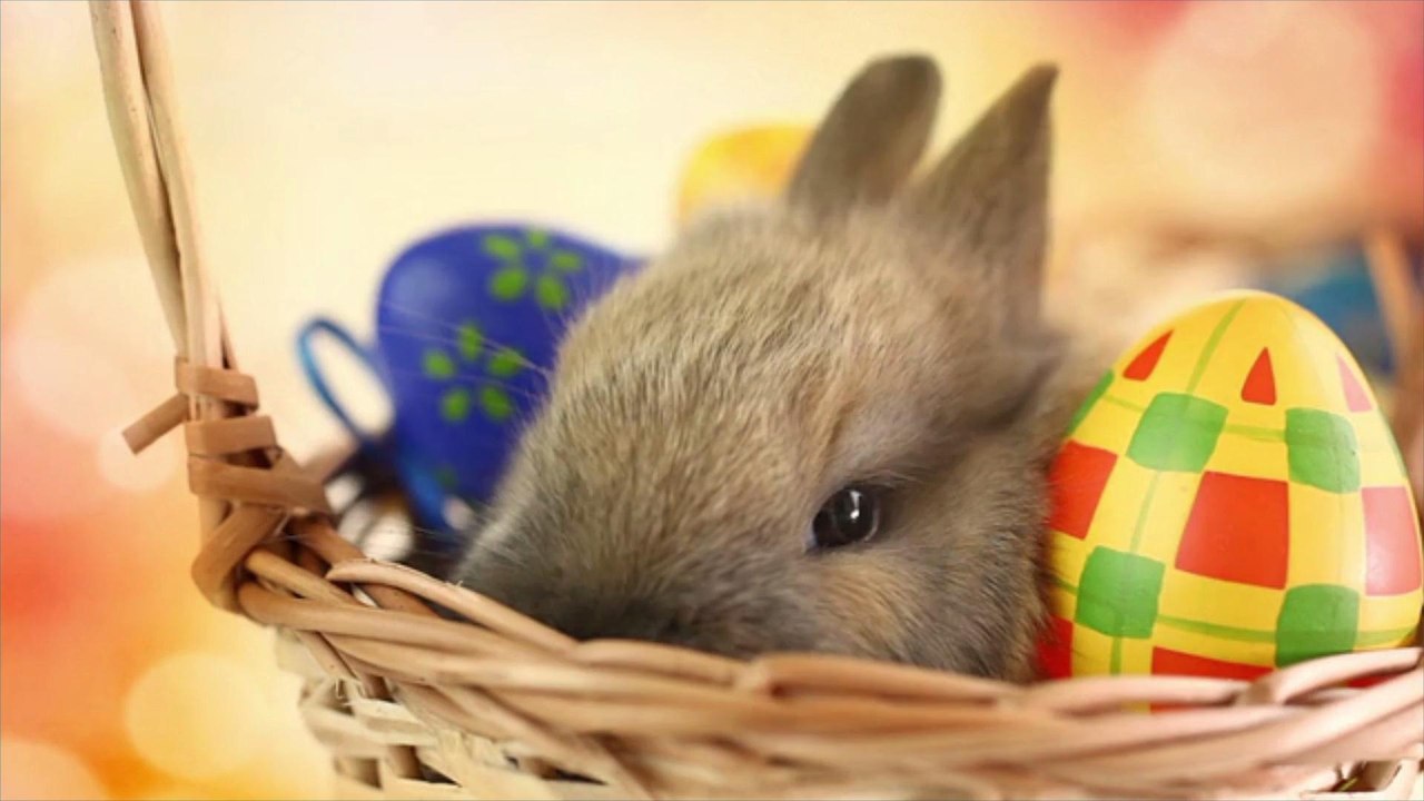 Oreo's New Easter Egg Decorating Kit Is Your Pre-Easter Snacktivity