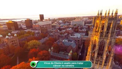 Vírus do Ebola é usado para tratar câncer no cérebro
