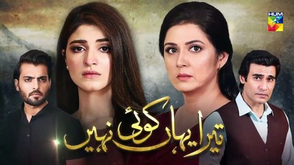 Tera Yahan Koi Nahin - Episode 17 Promo - HUM TV Drama