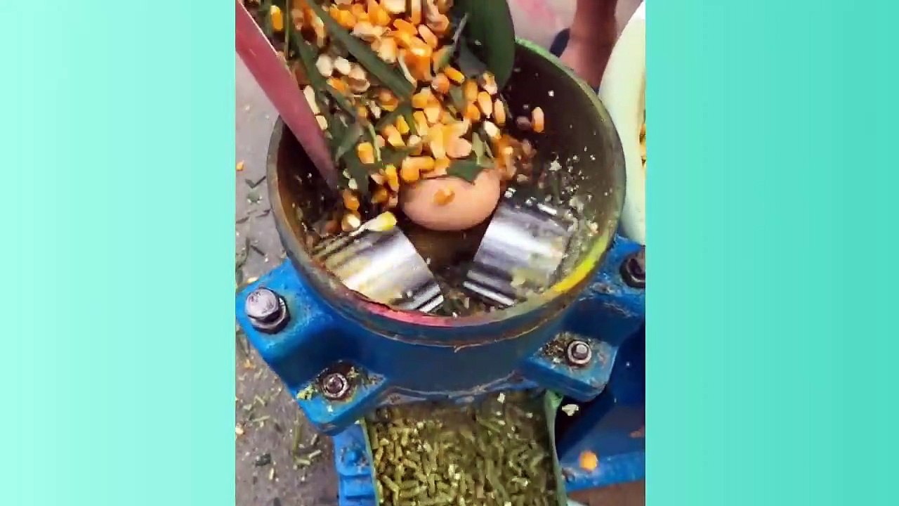 Amazing Things You Have Never Seen Before | Most Satisfying Video | Awesome People ♥♥♥ 6