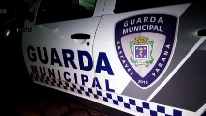 Veículo furtado é recuperado pela Guarda Municipal