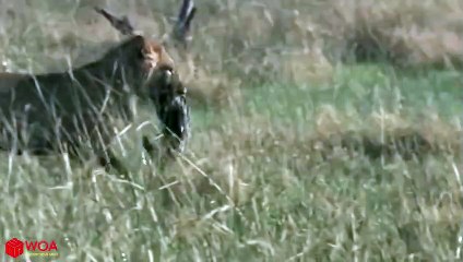 사천출장서비스 사천출장서비스O1OE6579E3382｛카톡RMB7｝ 사천출장마사지샵 사천출장안마on사천출장안마cos여3♪⇔∃마사지황형♥⊏≪