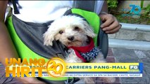 Unang Hirit: Pet Carriers for your Fur Babies!