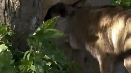 해남추천업소【OI0↔29O8↔68O③】해남추천업소예약♥≰≪