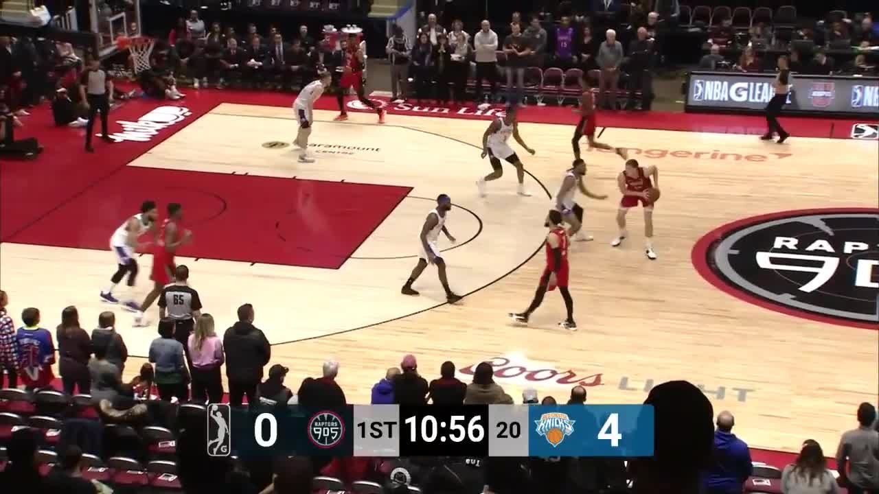 Henry Ellenson (29 points) Highlights vs. Westchester Knicks