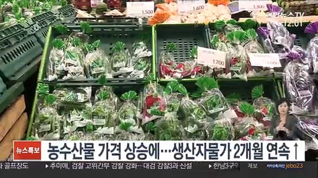 농수산물 가격 상승에…생산자물가 2개월 연속↑