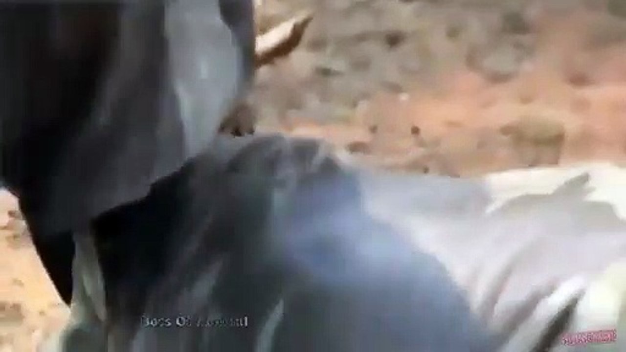 대전출장서비스 대전출장서비스O1OE6579E3382｛카톡VS67｝ 대전출장마사지샵 대전출장안마on대전출장안마cos여3♪⇔∃마사지황형♥◙≪