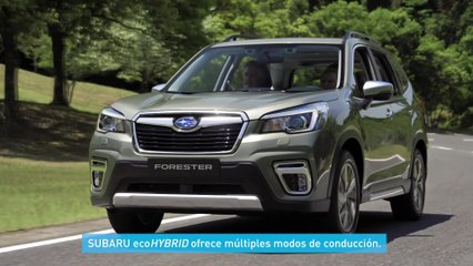 Subaru ECO HYBRID - Eficiencia