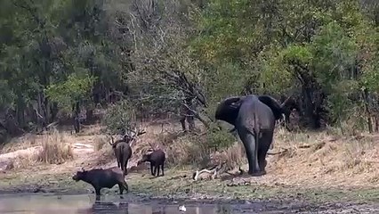 괴산출장서비스 괴산출장서비스O1Og2118g2518｛카톡KFC49｝ 괴산출장마사지샵 괴산출장안마on괴산출장안마cos여3♪⇔∃마사지황형♥∞≪