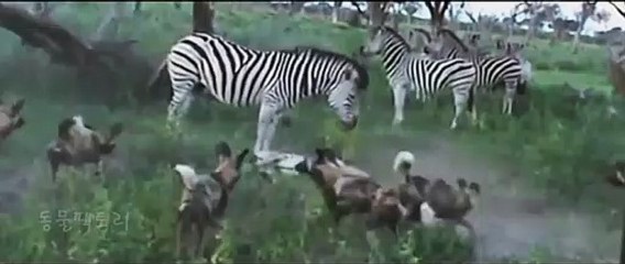 부산출장서비스 부산출장서비스O1Og2143g9131｛카톡VAS66｝ 부산출장마사지샵 부산출장안마on부산출장안마cos여3♪⇔∃마사지황형♥∸≪