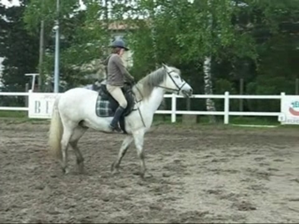 Mambi je l'aime je l'aime