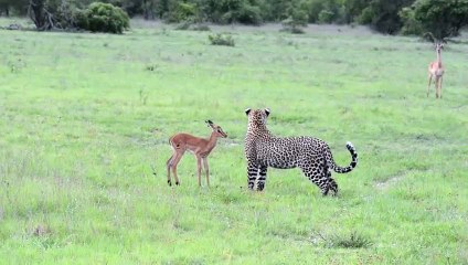 부천출장서비스 부천출장서비스O1Og2143g9131｛카톡UOM7｝ 부천출장마사지샵 부천출장안마on부천출장안마cos여3♪⇔∃마사지황형♥≼≪