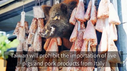 CollectionVideo-focustaiwan_curation-focustaiwan.tw-copy1-FocusTaiwanParser-2020/02/20-09:00