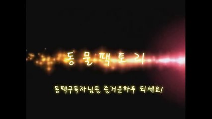 대덕출장서비스 대덕출장서비스O1OE2104E4640｛카톡MBM6｝ 대덕출장마사지샵 대덕출장안마on대덕출장안마cos여3♪⇔∃마사지황형♥≕≪