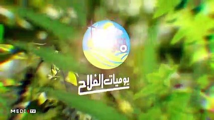 يوميات الفلاح - 20/02/2020