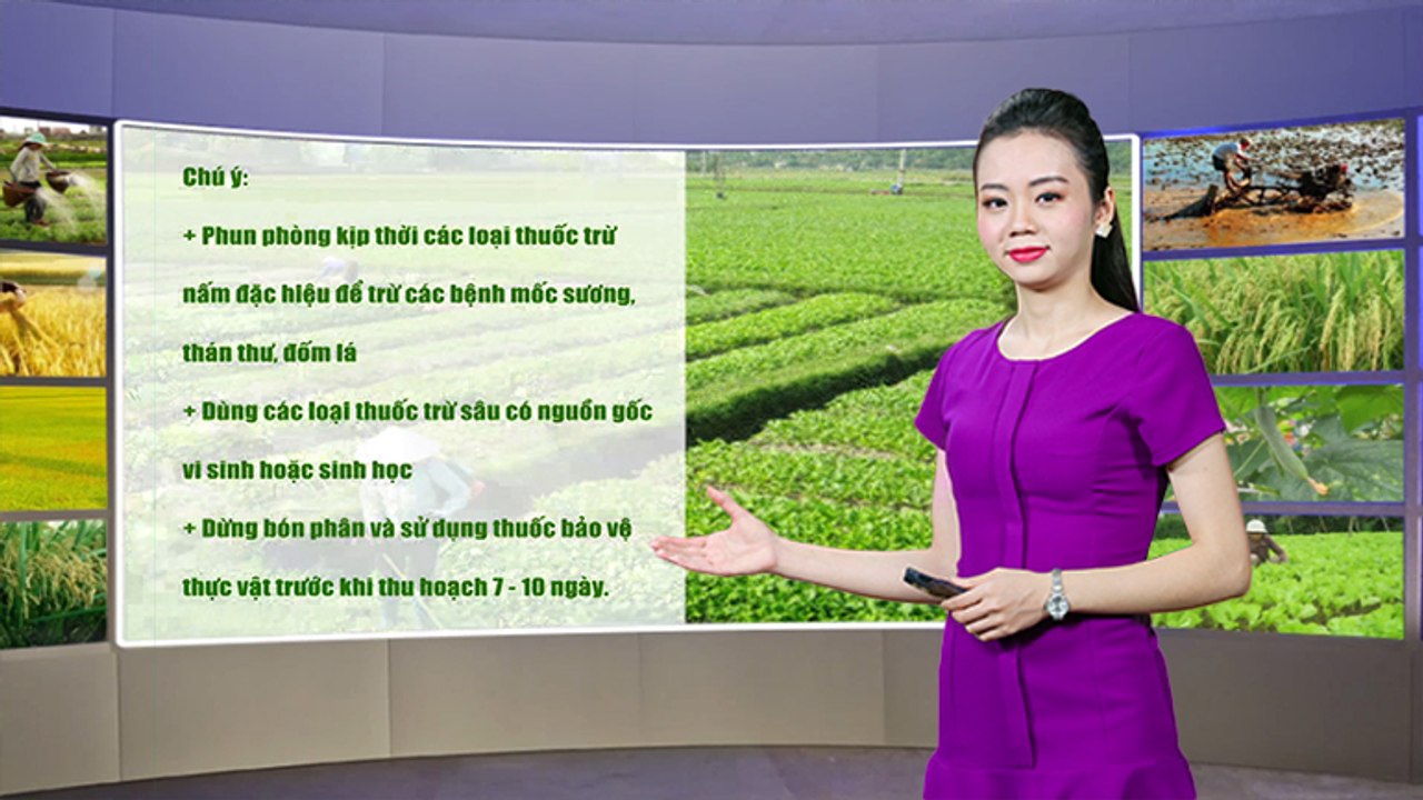 Thời tiết nông vụ-20/02/2020