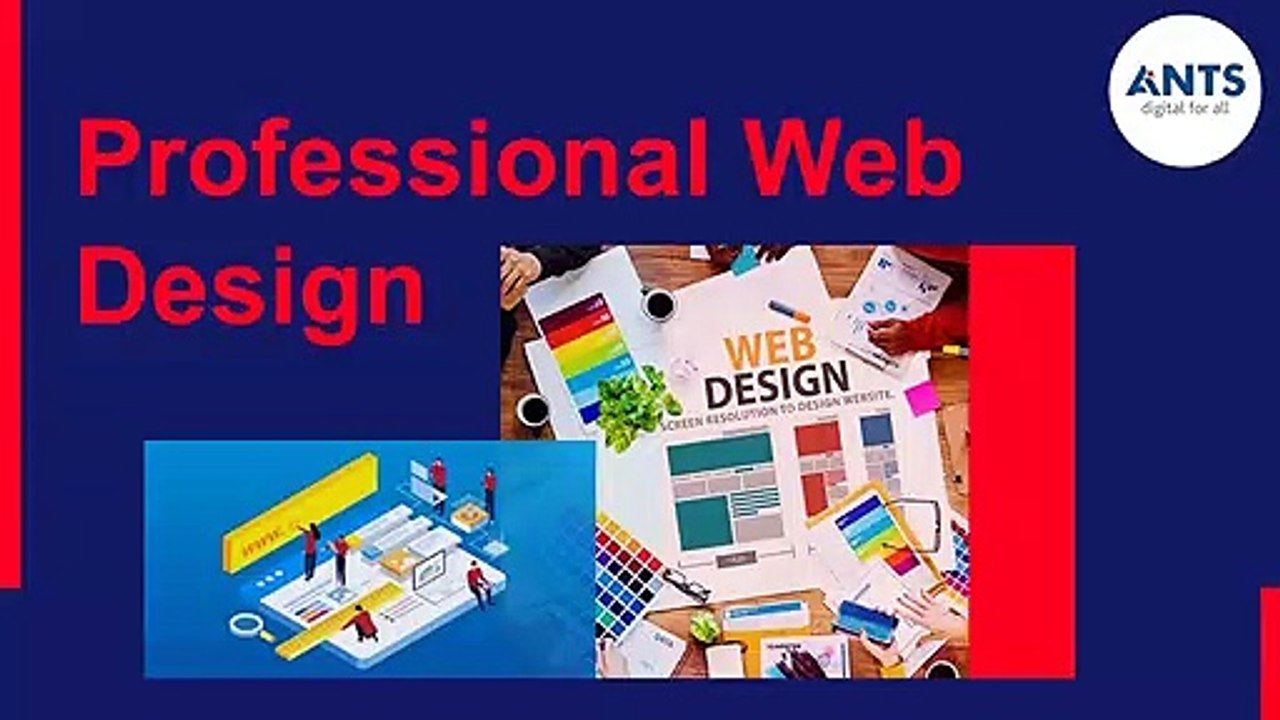 Professional Web Design | Creative Design | ANTS Digital