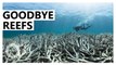 Coral reefs may lose nearly all habitats by 2020