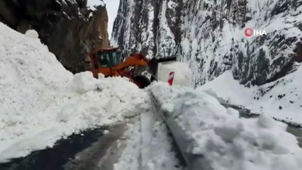 Hakkari-Van karayoluna çığ düştü