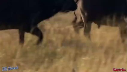 안산출장서비스 안산출장서비스O1Og4838g4959｛카톡SBS52 라인VPN58｝ 안산출장마사지샵 안산출장안마on안산출장안마cos여3♪⇔∃마사지황형♥◦≪