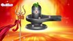 Happy Maha Shiva Ratri 2020 | MahaShivRatri special status | Shivarathri Whatsapp Status video | Viral Rocket