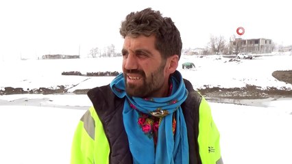 Kış mesaisindeki besicilerin yardımcıları: 'Eşek arabaları'
