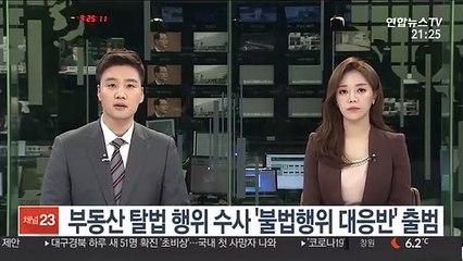 부동산 탈법 행위 수사 '불법행위 대응반' 출범