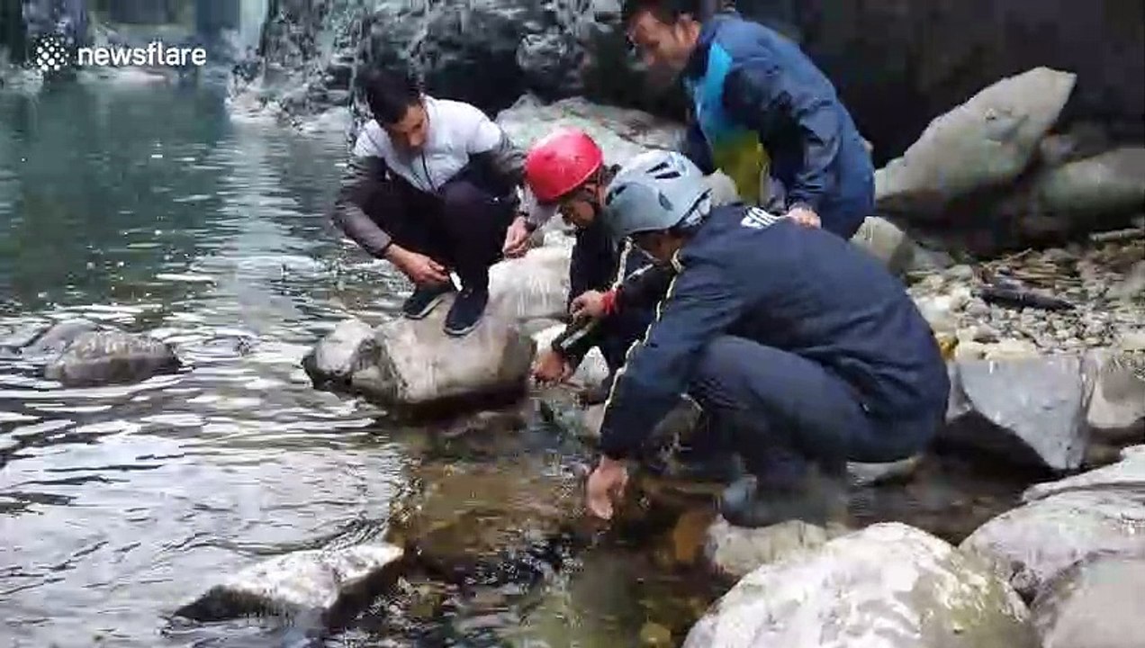 Firefighters rescue little bird trapped in fishing line on north Indian river
