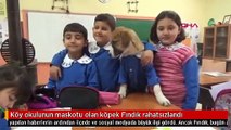 Köy okulunun maskotu olan köpek Fındık rahatsızlandı