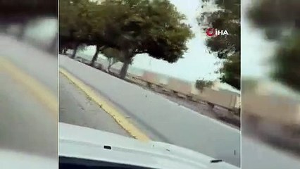 Suudi Arabistan'ın doğusunu binlerce çekirge bastı