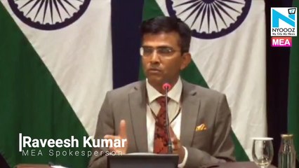 MEA gives details of Indians who were on board ship quarantined off Japan