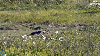 신촌추천업소【OI0↔29O8↔68O③】신촌추천업소예약♥◐≪