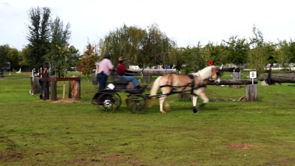 Clay Station carriage driving event hazard