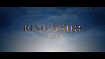 PINOCCHIO |2019| WebRip en Français (HD 720p)