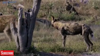 사상출장서비스 사상출장서비스O1OE6683E6402｛카톡GOO56｝ 사상출장마사지샵 사상출장안마on사상출장안마cos여3♪⇔∃마사지황형♥≸≪