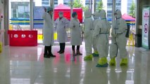 Cute Panda Videos Give Coronavirus Patients Strength in Chinese Temporary Hospital