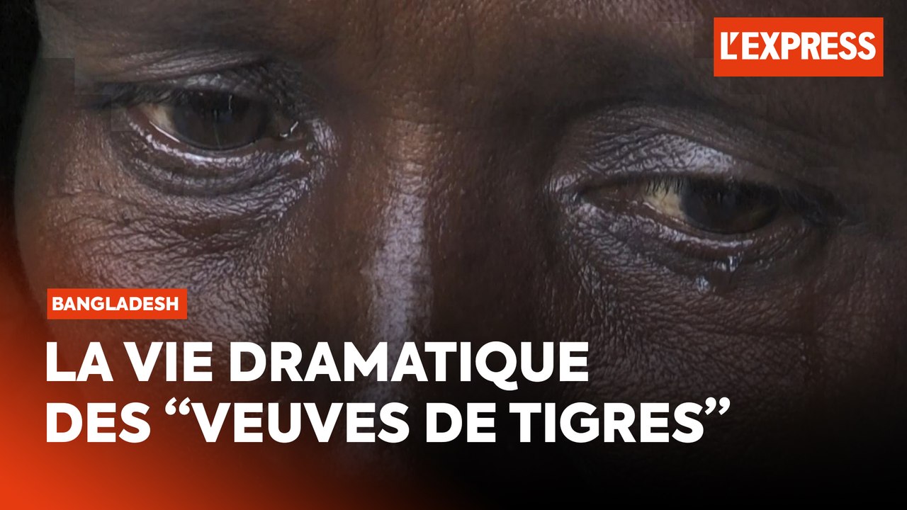 Au Bangladesh, la double peine des "veuves de tigres"