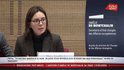 Video herunterladen: Brexit : la secrétaire d'Etat aux affaires européennes auditionnée  - Les matins du Sénat (20/02/2020)