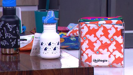 bd-manejo-de-alimentos-en-loncheras-200220