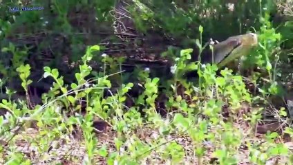 북구추천업소【OI0↔29O8↔68O③】북구추천업소예약♥◫≪