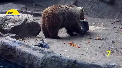 북구출장서비스 북구출장서비스O1OE6579E3382｛카톡COM23｝ 북구출장마사지샵 북구출장안마on북구출장안마cos여3♪⇔∃마사지황형♥≽≪