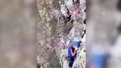 Kayalıkta mahsur kalan keçi kurtarıldı